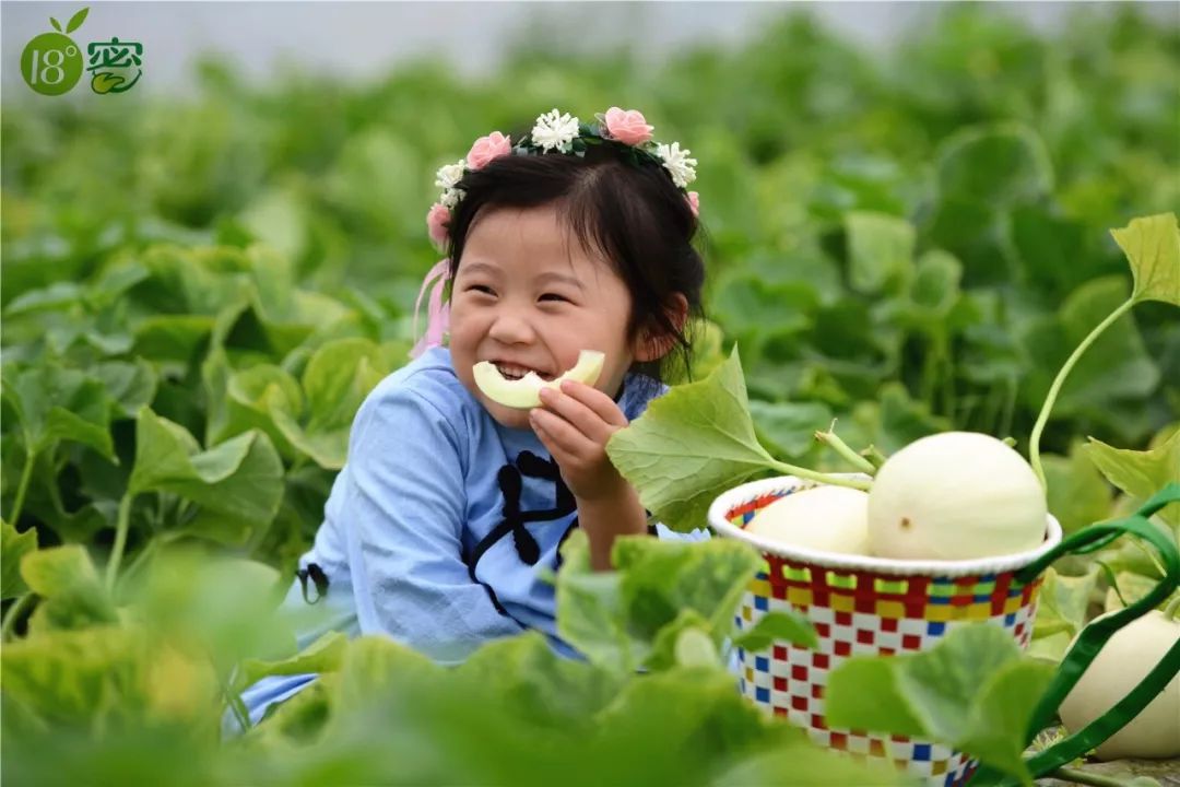 5岁女孩,吃完这甜瓜后笑得合不拢嘴!