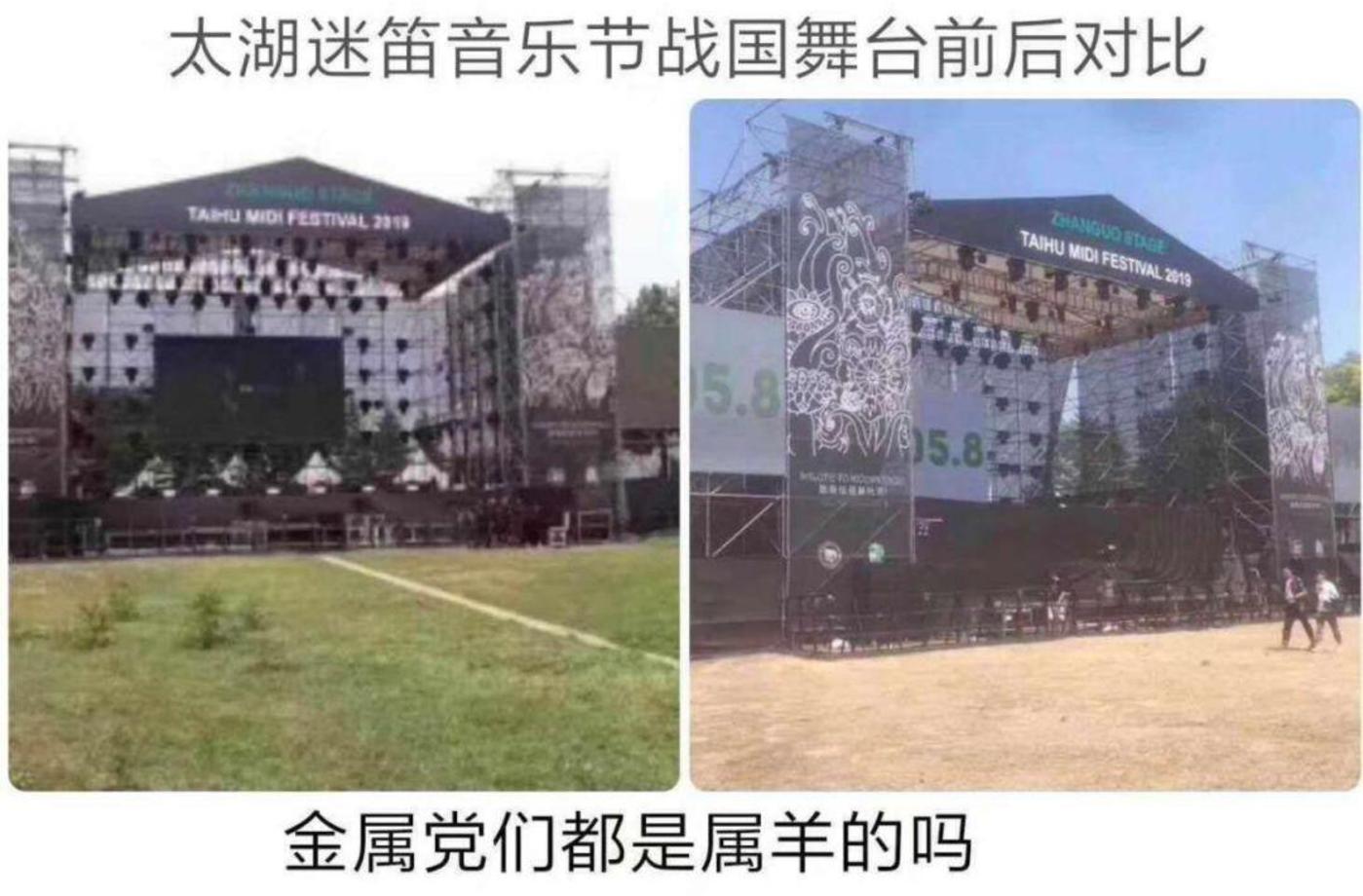 乌托邦gdp_铁线莲乌托邦图片(2)