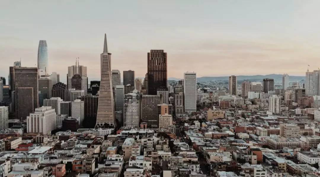 
原创
棕榈大道丨出国留学千万别学这个专业！因为太挣钱了


