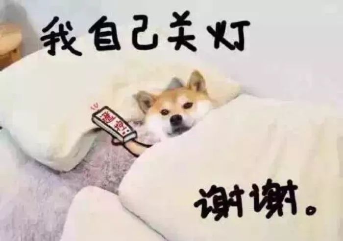 c52ea511d76b4ed8a4dc57097d93ad6f.jpeg