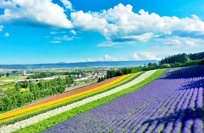 北海道人口_日本北海道图片(2)