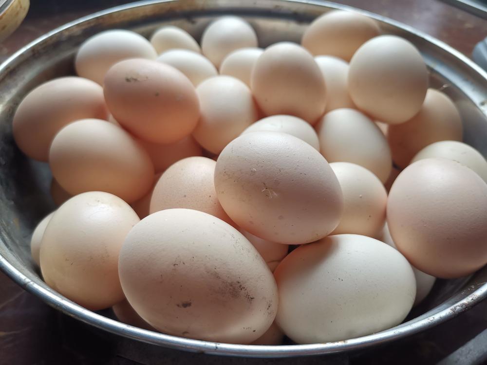 富硒蛋和普通鸡蛋营养有什么区别 cdc860bda47d4ba286a5ec1beeb2f2cc.jpeg