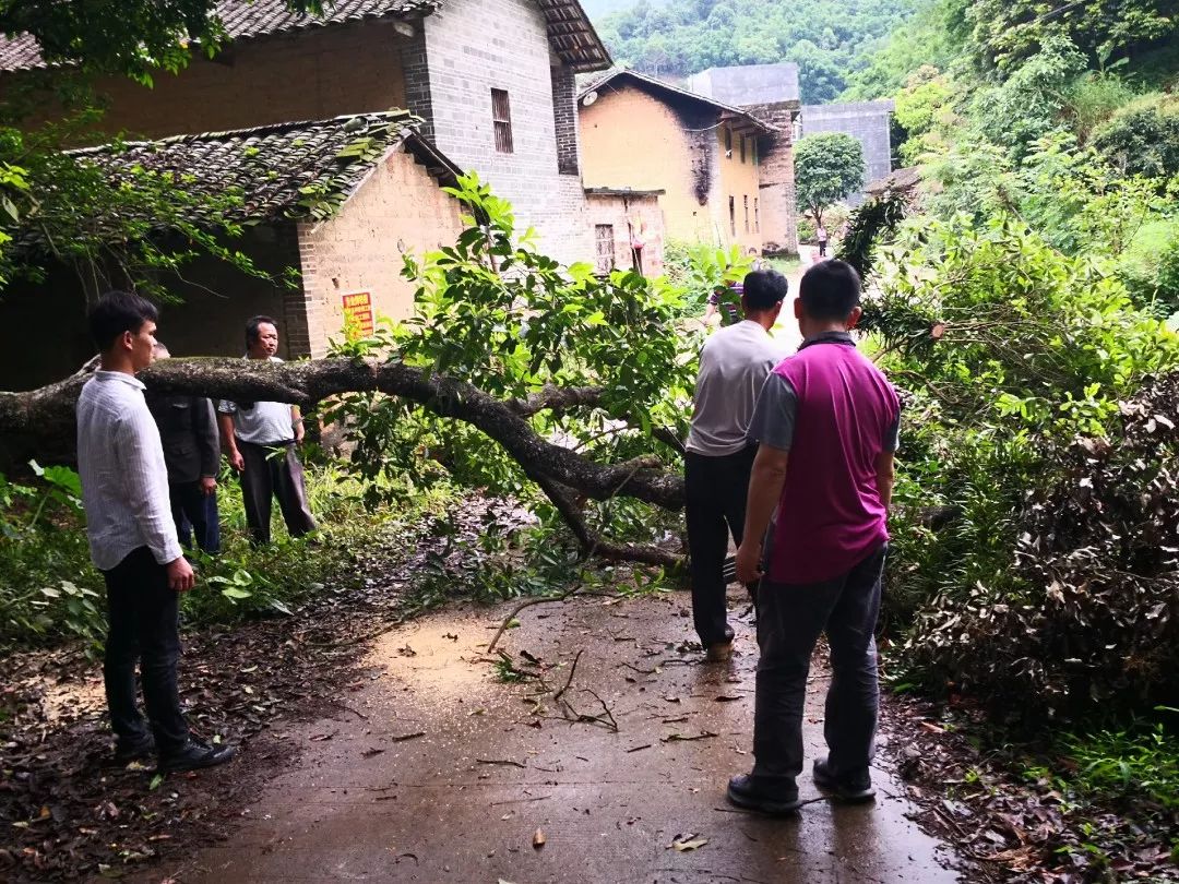 陆川县有多少人口_出大事情了,陆川人拖家带口的往这边走,事情真相是.......(3)