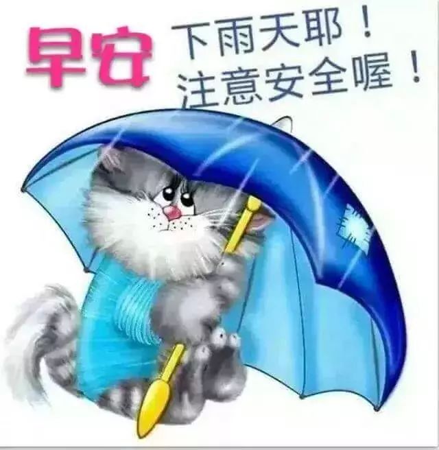 最新漂亮下雨天关心问候祝福表情图片 最美早安祝福语