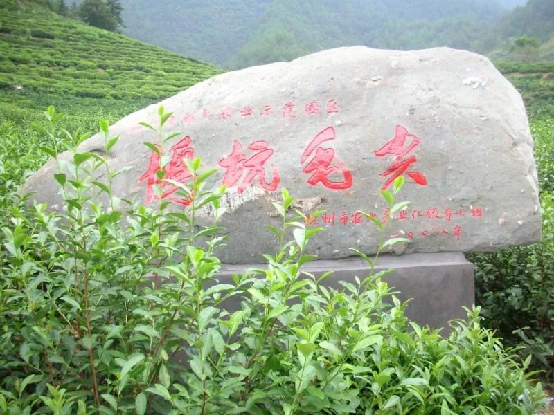 探路者千岛湖鸠坑万岁岭古道探秘丨俱乐部版