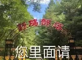 
富二代花4300万进斯坦福，全球619所野鸡大学曝光，这条产业链有多可怕！


