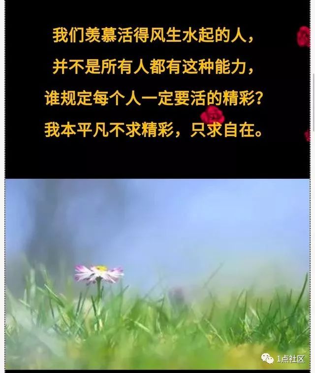 曲谱戒不掉的我想你_戒不掉我想你简谱(2)