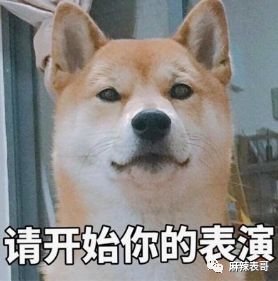 原创
骂网友是酸民,说从没伪装哈佛学历,范玮琪的脸皮有点厚呀
原创
骂网友是酸民,说从没伪装哈佛学历,范玮琪的脸皮有点厚呀