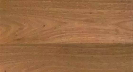 f311747ffcd14eec8a86d2733f2c7530.jpeg