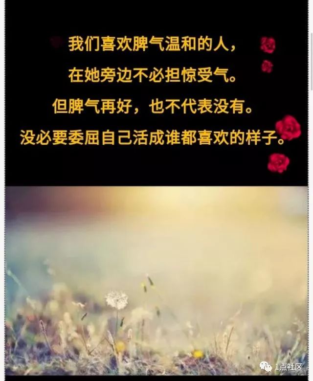曲谱戒不掉的我想你_戒不掉我想你简谱(2)