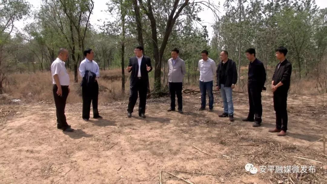 县人大主任崔跃东及县政府办,住建局,安平镇相关部门负责人参加调研