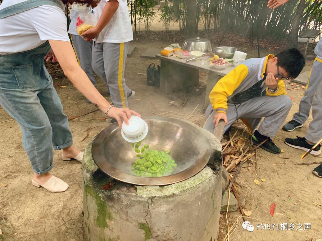 桐乡人心里的小美好~和同学一起烧野火饭