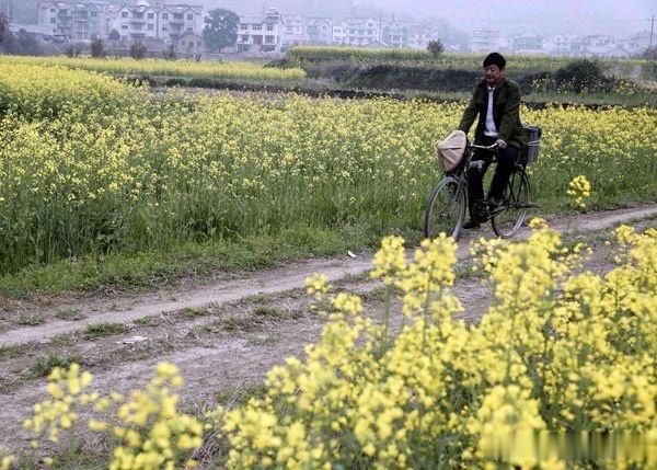 原创
在农村,一个月挣多少钱才够花?听听农民怎么说
原创
在农村,一个月挣多少钱才够花?听听农民怎么说