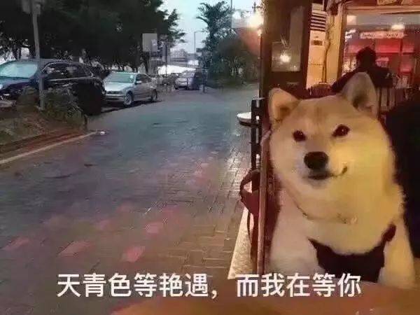 00824ac0f3e14d46a925289f3d0679ba.jpeg