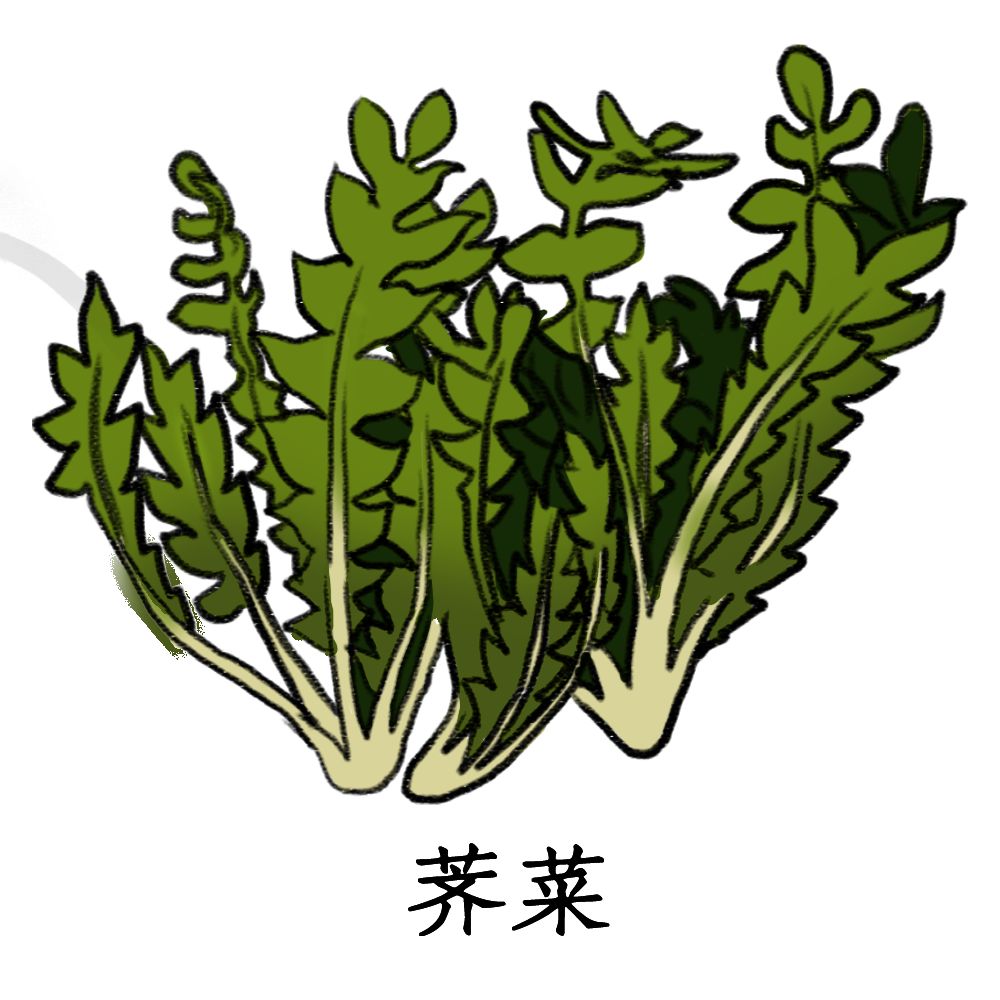 中医认为荠菜味甘,性温,具有和脾,养胃,利水,止血,明目的作用.