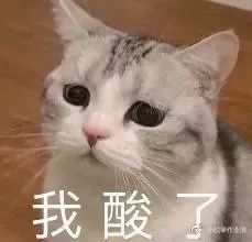 01c53bee7a864427badb9aa76aa263e5.jpeg