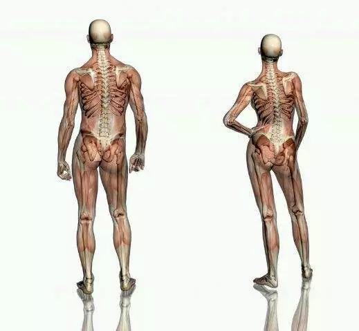 0a3f9e30903f4972a03729ef39ae66b7.jpeg