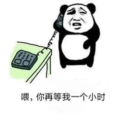 0d836613d378459ab7373e0350ffc642.jpeg