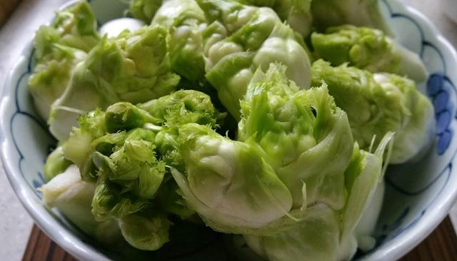 儿菜素吃怎么做好吃