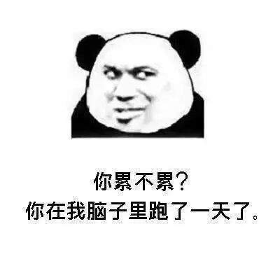 哄女朋友最有效的表情包