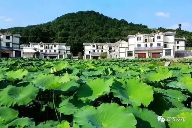 夏天来了！天气转晴，开江未来三天最高气温达28℃