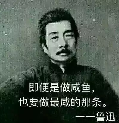 鲁迅脸炙人口的名言(2)