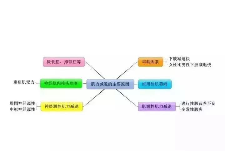 1 骨骼肌收缩原理是什么_骨骼肌纤维的收缩原理