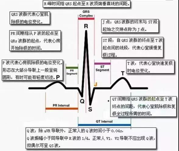 (因为心电图机的灵敏度和走纸速度分别是1mv/cm和25mm/s.) p波: 0.