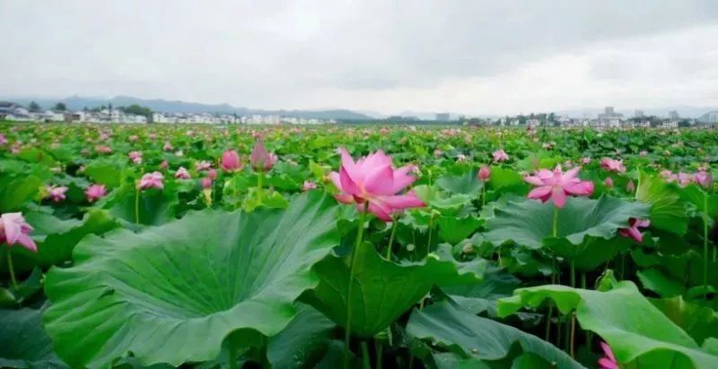 夏天来了！天气转晴，开江未来三天最高气温达28℃