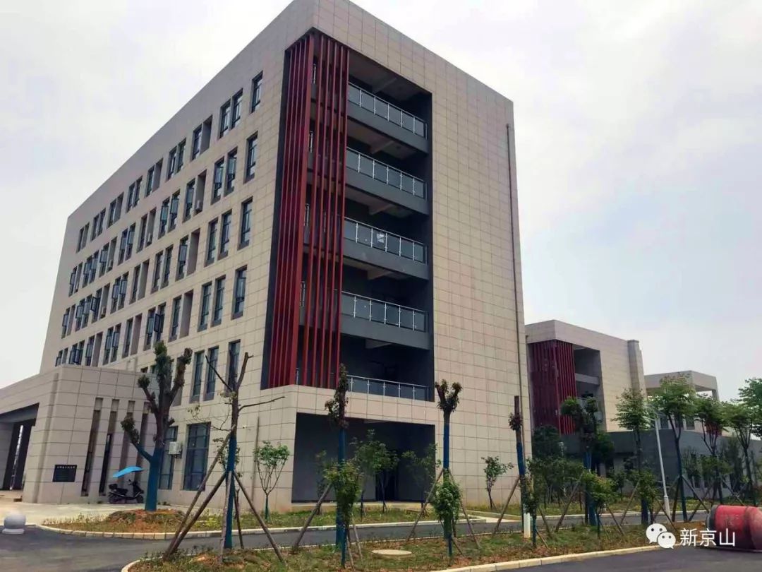 京山市民政局、婚姻登记处和免费婚检、免费孕