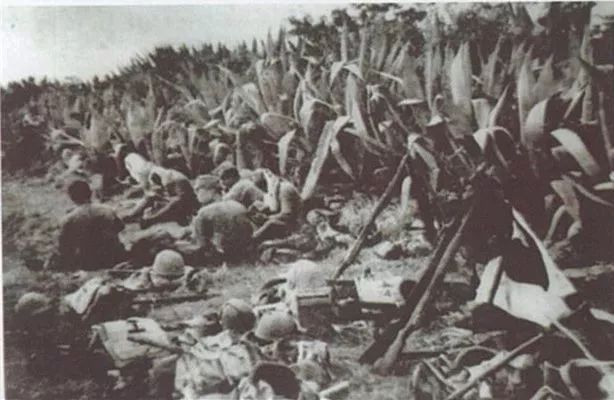 刚刚，防空警报响彻厦门！81年了，关于五通、关于“万人坑”的伤痛，我们不能忘记！