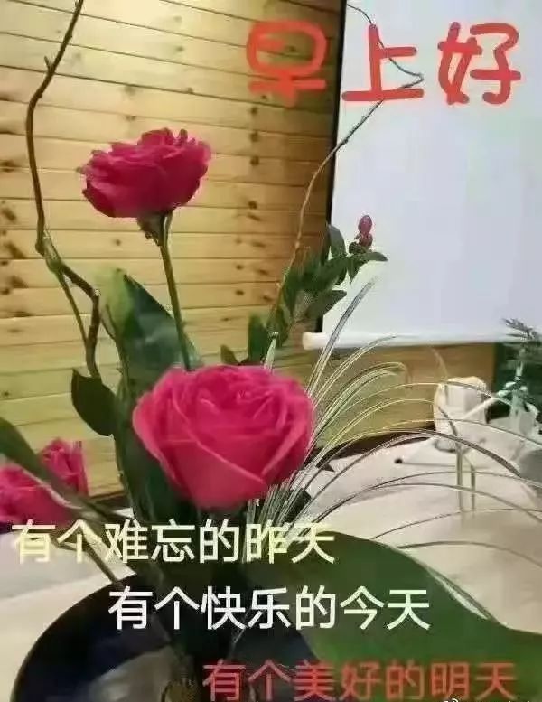 早上好最新唯美动态图片 祝福早上好的微信语录_结果