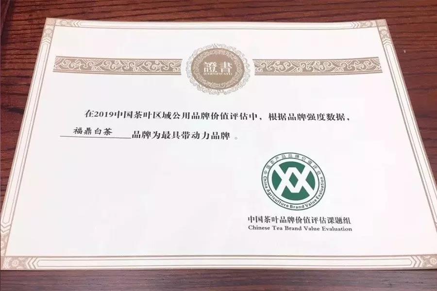 白茶品牌排行榜_政和白茶品牌价值50.34亿元,荣登百强榜单!