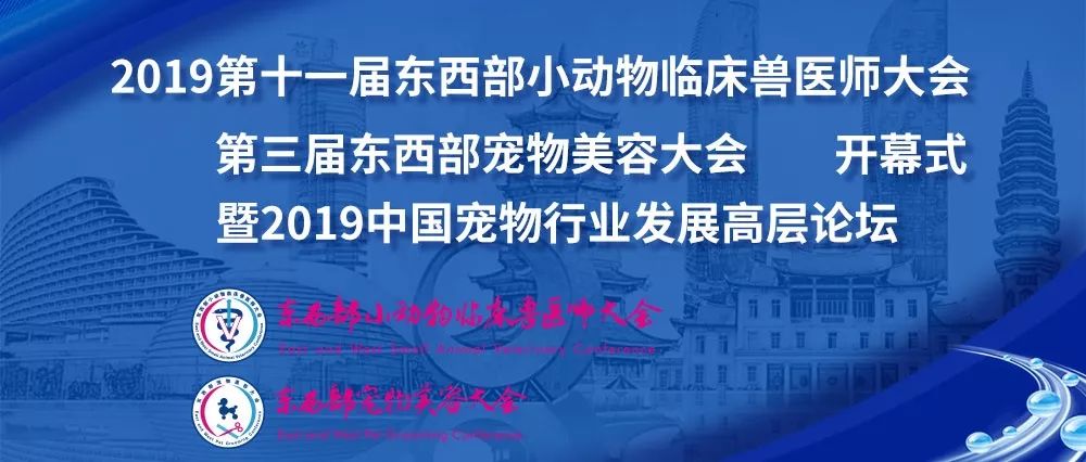 23位宠业大咖齐聚东西部大会，开幕式高层论坛现场