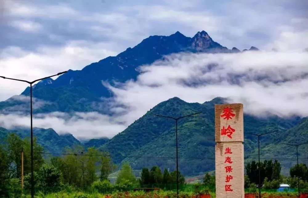 保护秦岭大家园,善待秦岭野生动植物!