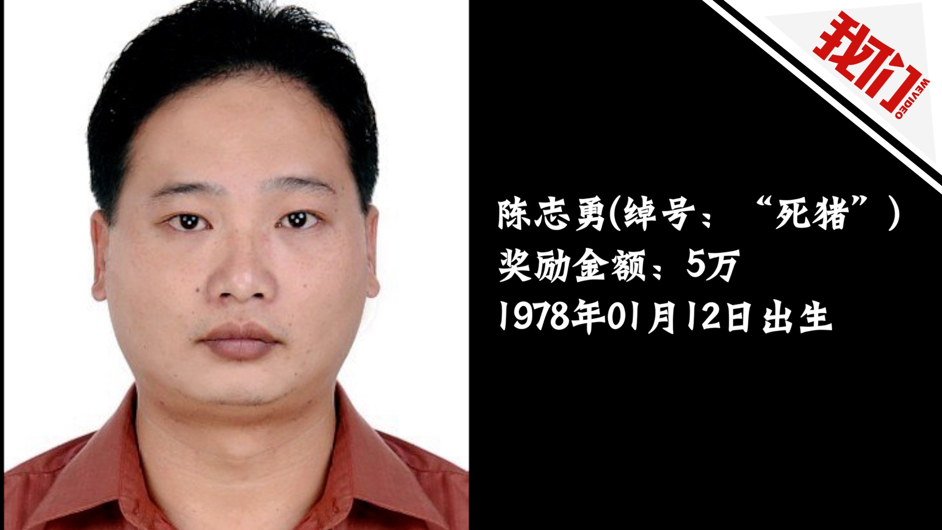 "死猪"等14名涉黑恶在逃嫌犯 广东恩平警方悬赏通缉