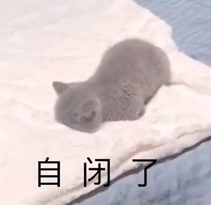 68caf2de70934ec5a03f7df9815fe3cd.jpeg