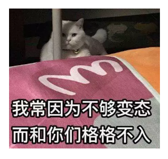 文章配图-11