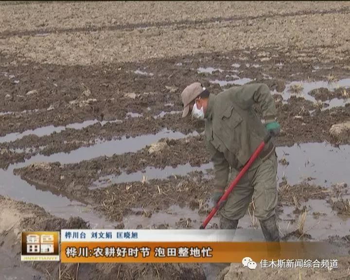 汤原县人口_汤原县高级中学