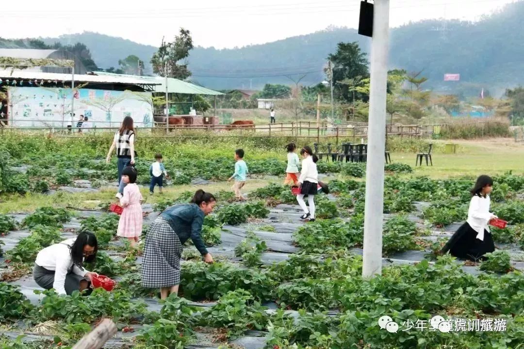 田心农场  优惠活动: 少年军道5.