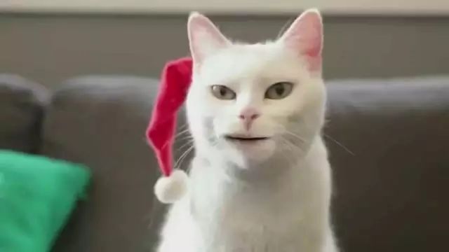 如何拥有好听的笑声 7c17ebdc24d2404089f330ebb18302bb.jpeg