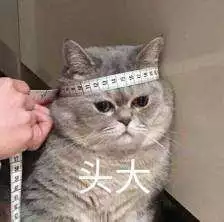 文章配图-8