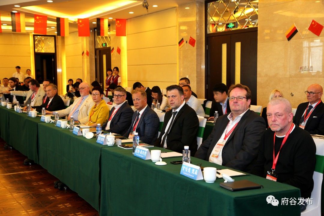 2019府谷经济_中国 府谷2019中德经济合作高峰论坛举行