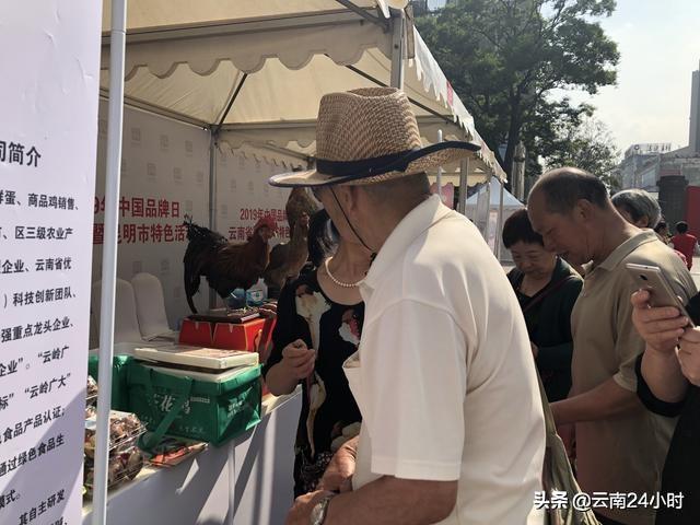 2019年经济要素_稳住即胜出 2019年下半年中国宏观经济展望