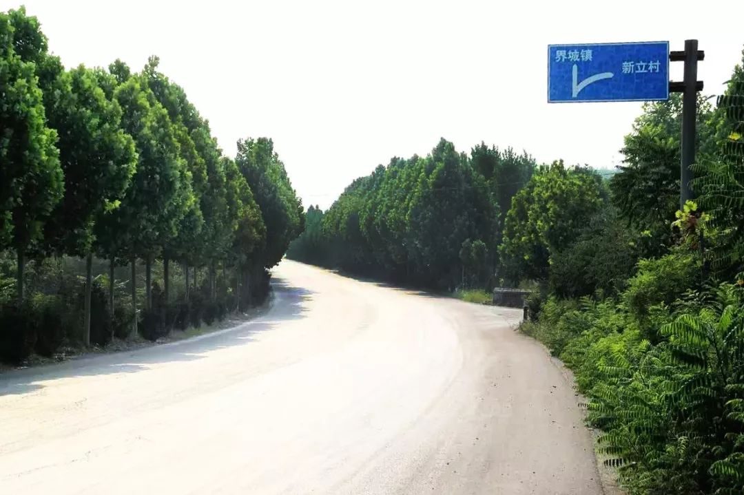 道路起止:东起峰岳路,西至邢峰公路建设规模:全长4.