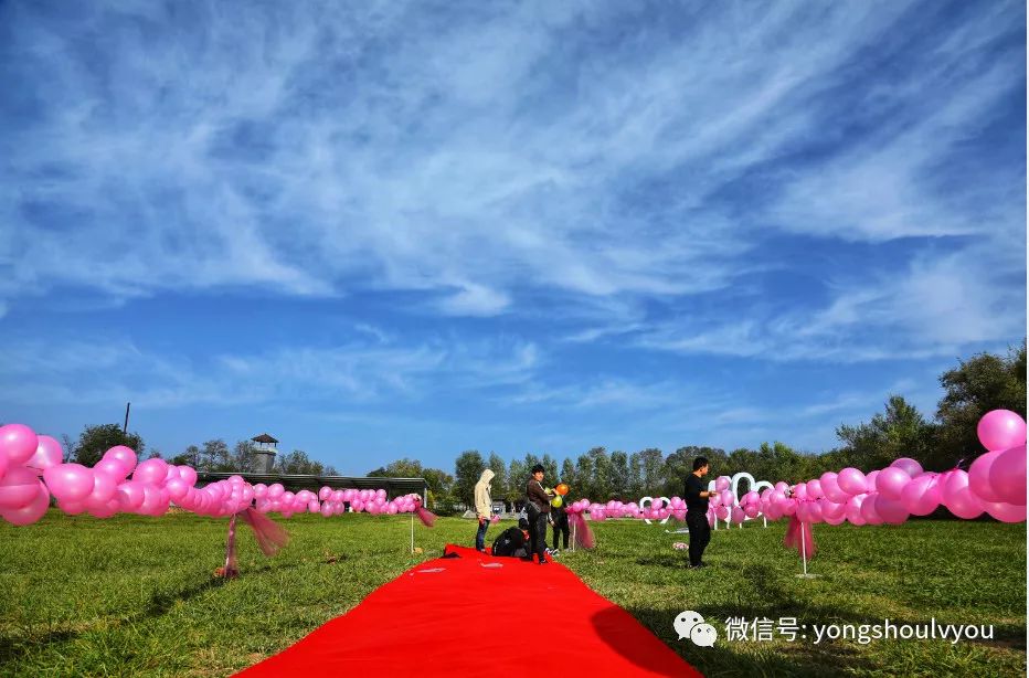 永寿县第十六届槐花旅游文化节5月10日盛大开幕!