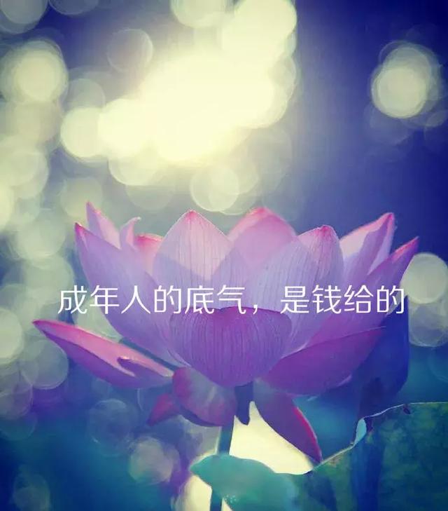 99fc6e9c26814c3f8a3ed70f5938b1ca.jpeg