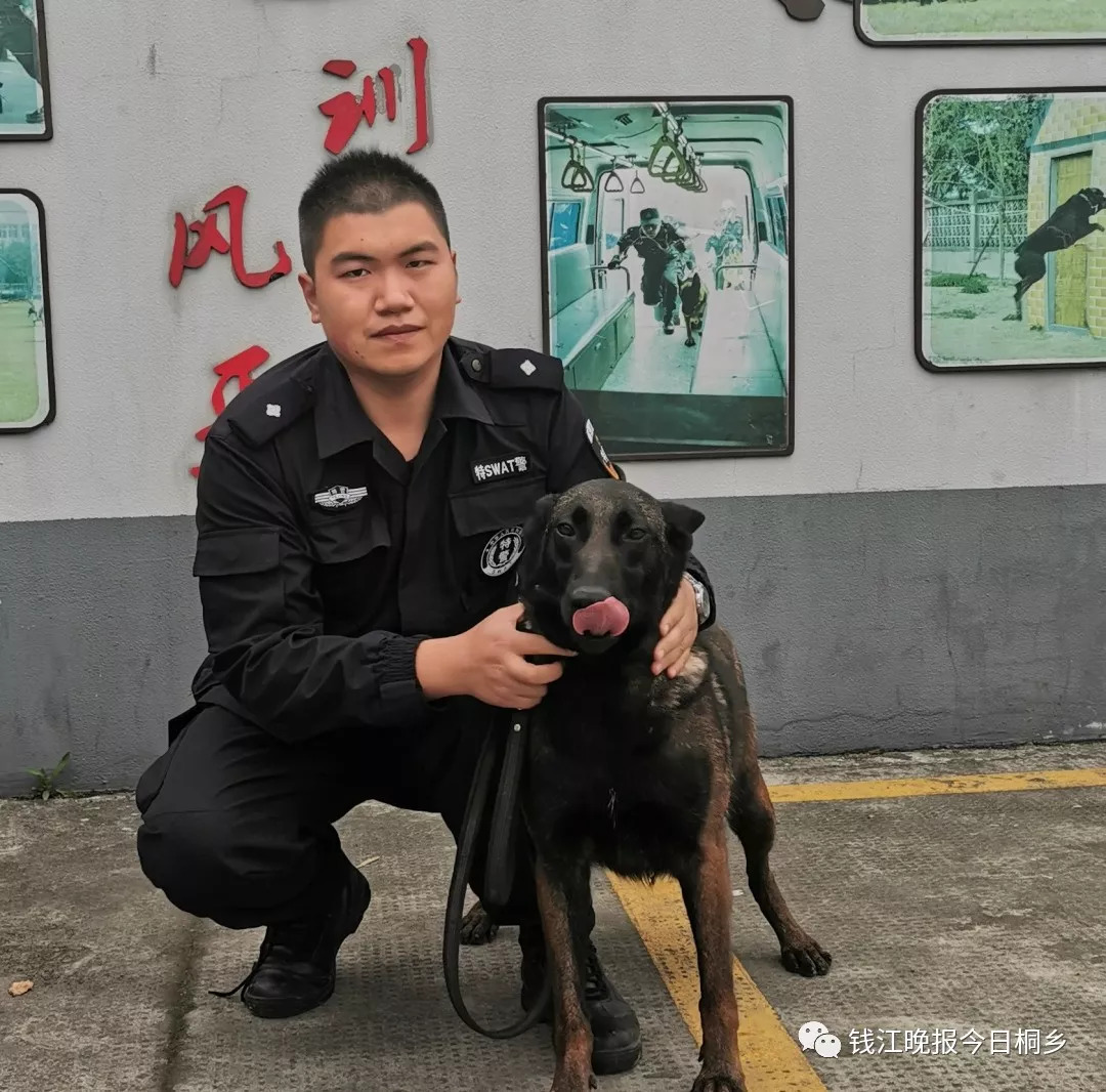 才三岁,就帮助警察破案啦!_警犬