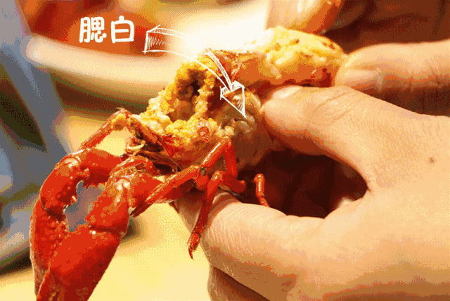 a0e09edeefc843a799bfaf7d676ad8c8.gif