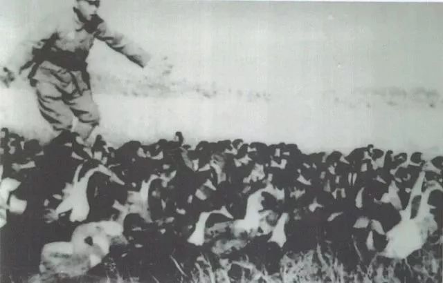 刚刚，防空警报响彻厦门！81年了，关于五通、关于“万人坑”的伤痛，我们不能忘记！